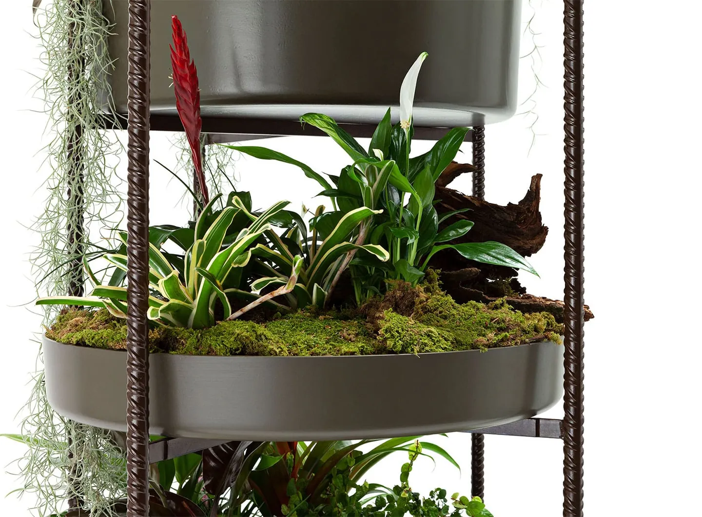 Exteta - Vertical Garden