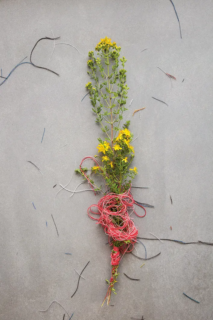 Materialising Colour: Journeys with Giulio Ridolfo