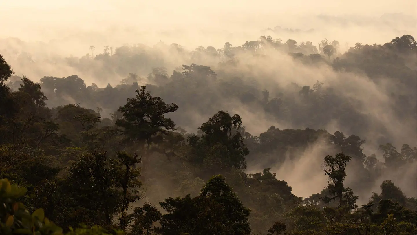 Canandé reserve, Ecuador