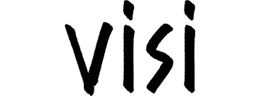 VISI_logo