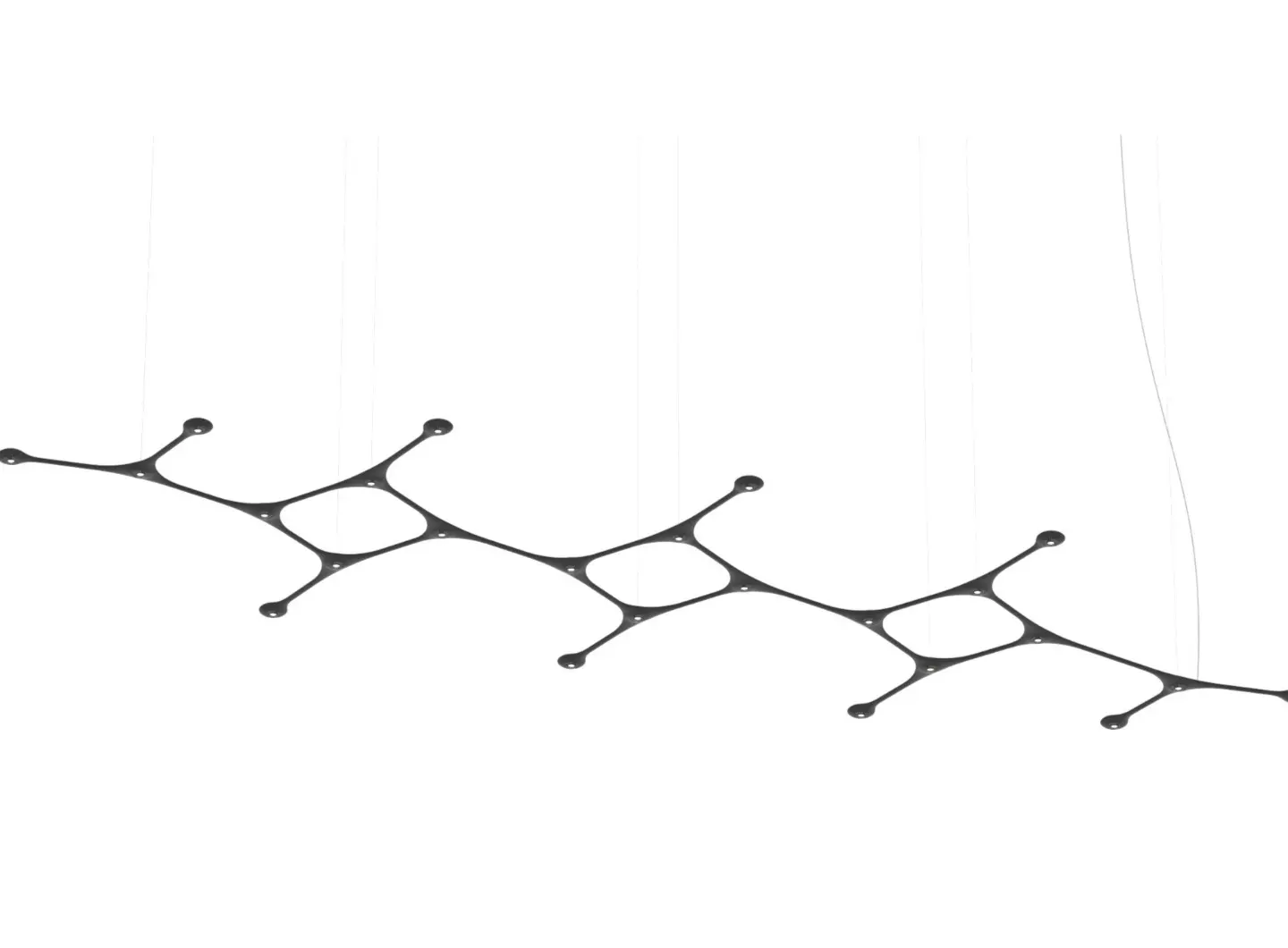 CARB24_linear_copy2_copy.jpg