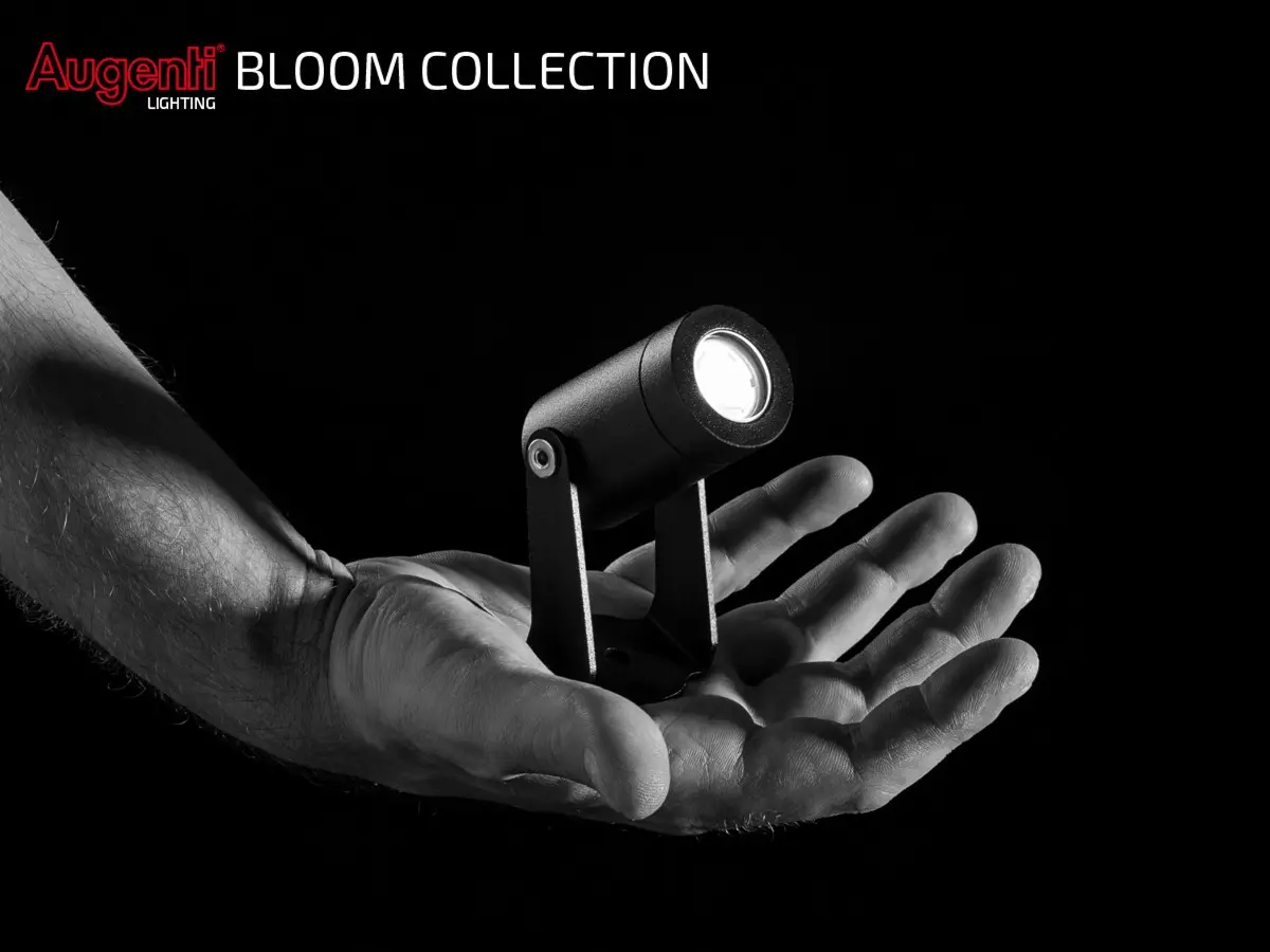 Augenti Lighting - Bloom Collection