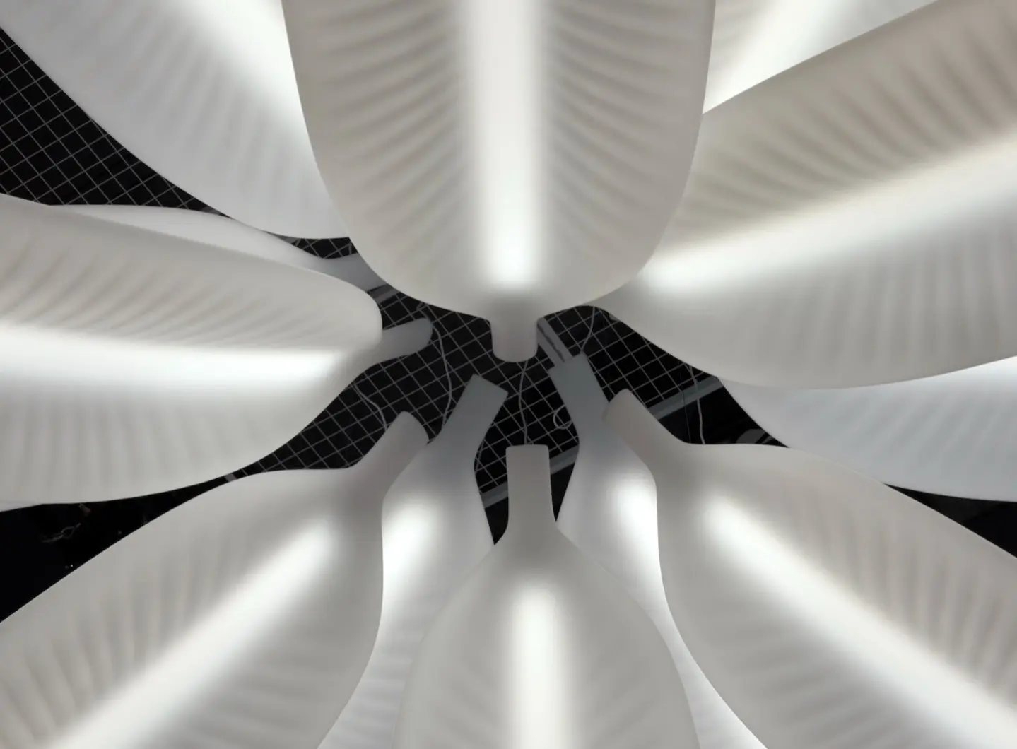 Banana Leaf composition | Design Marcantonio