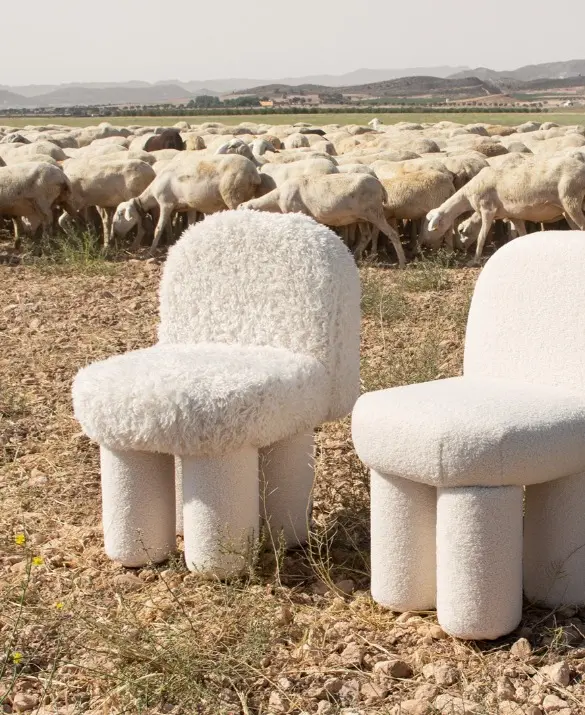 Casual_home_Contract_dorper_chair.jpg