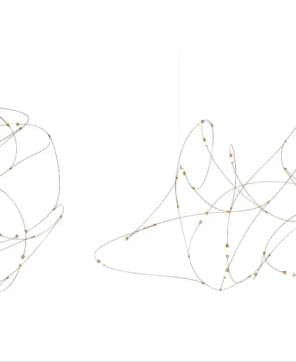 Flock of Light