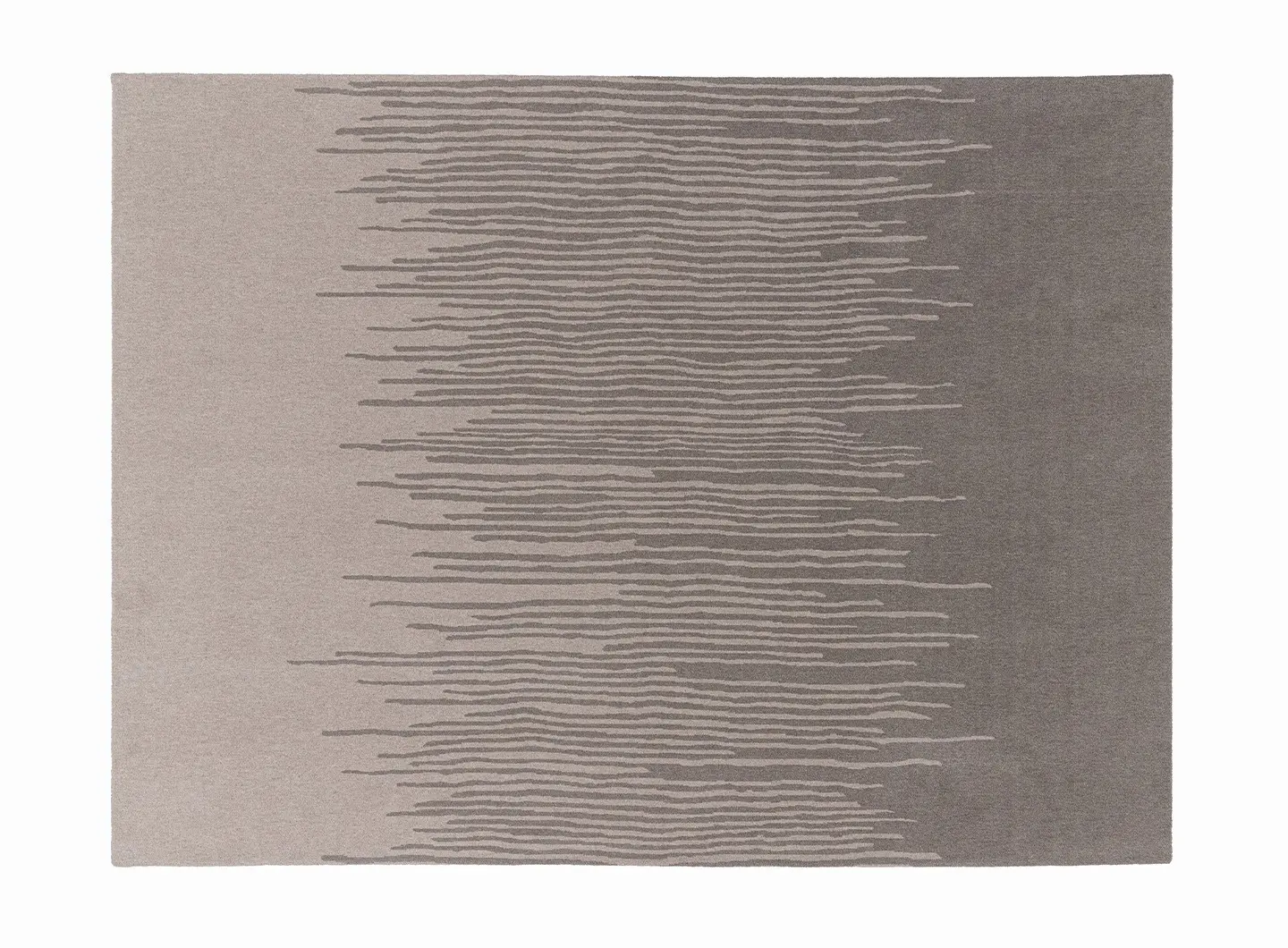 Ditre Italia - Reed