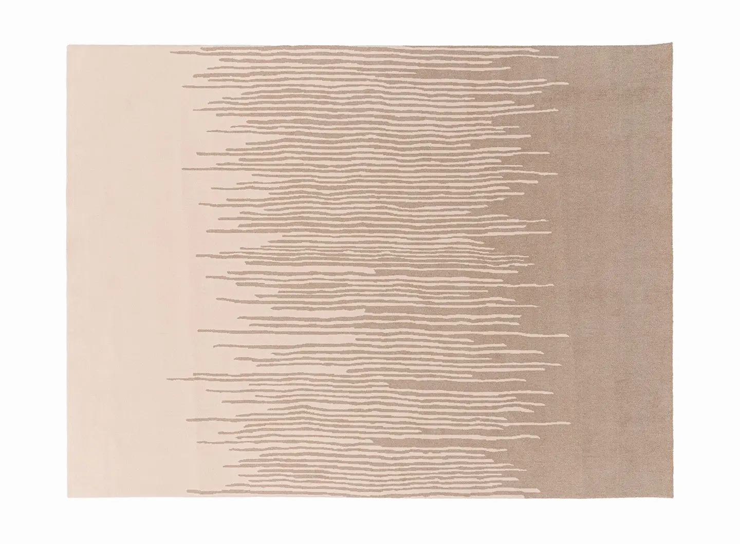 Ditre Italia - Reed