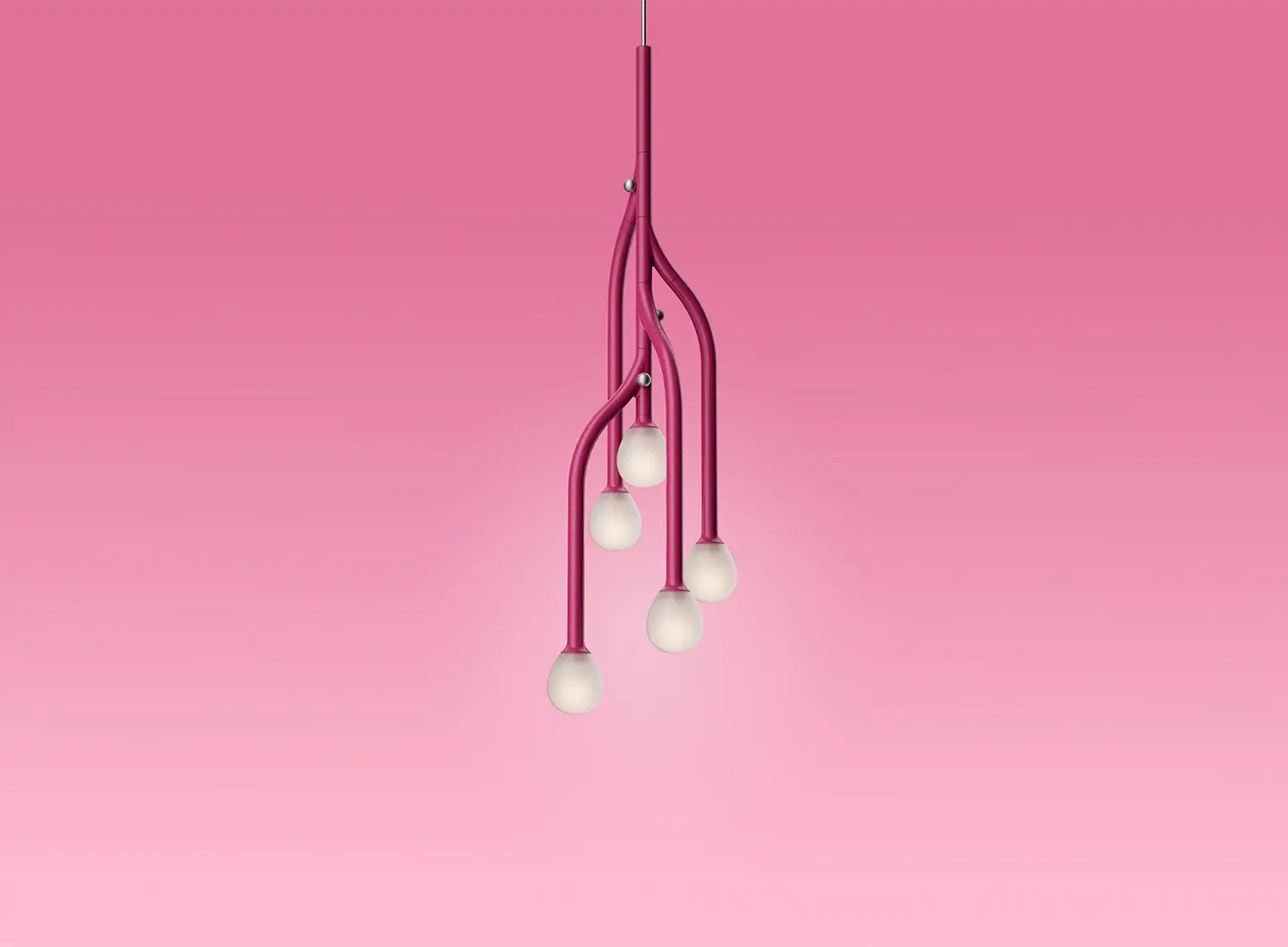 gallery2_tilia.jpg