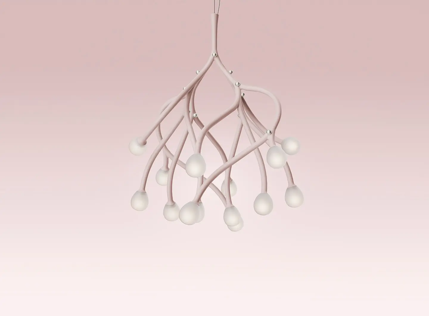 gallery3_tilia.jpg