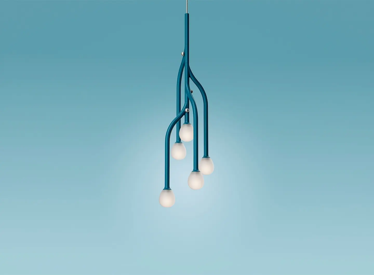 gallery5_tilia.jpg