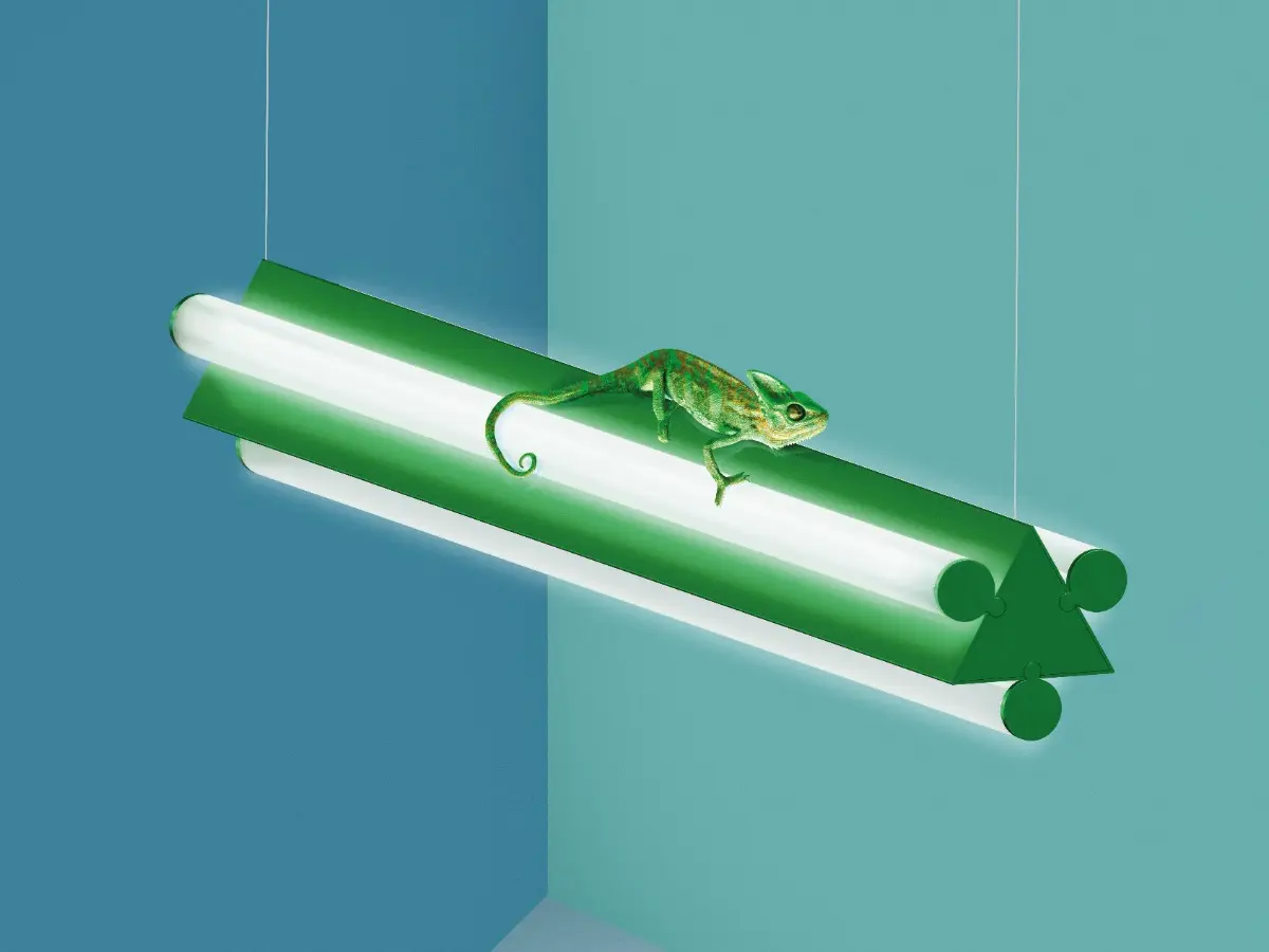 2023_Dreispitz_lamp_chameleon_MOD.jpg