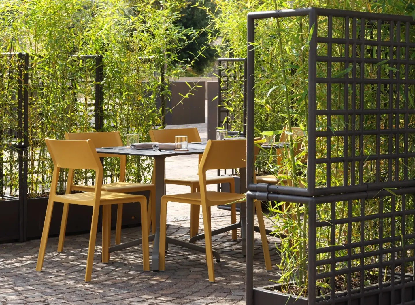 Trill Bistrot - Base Frasca 