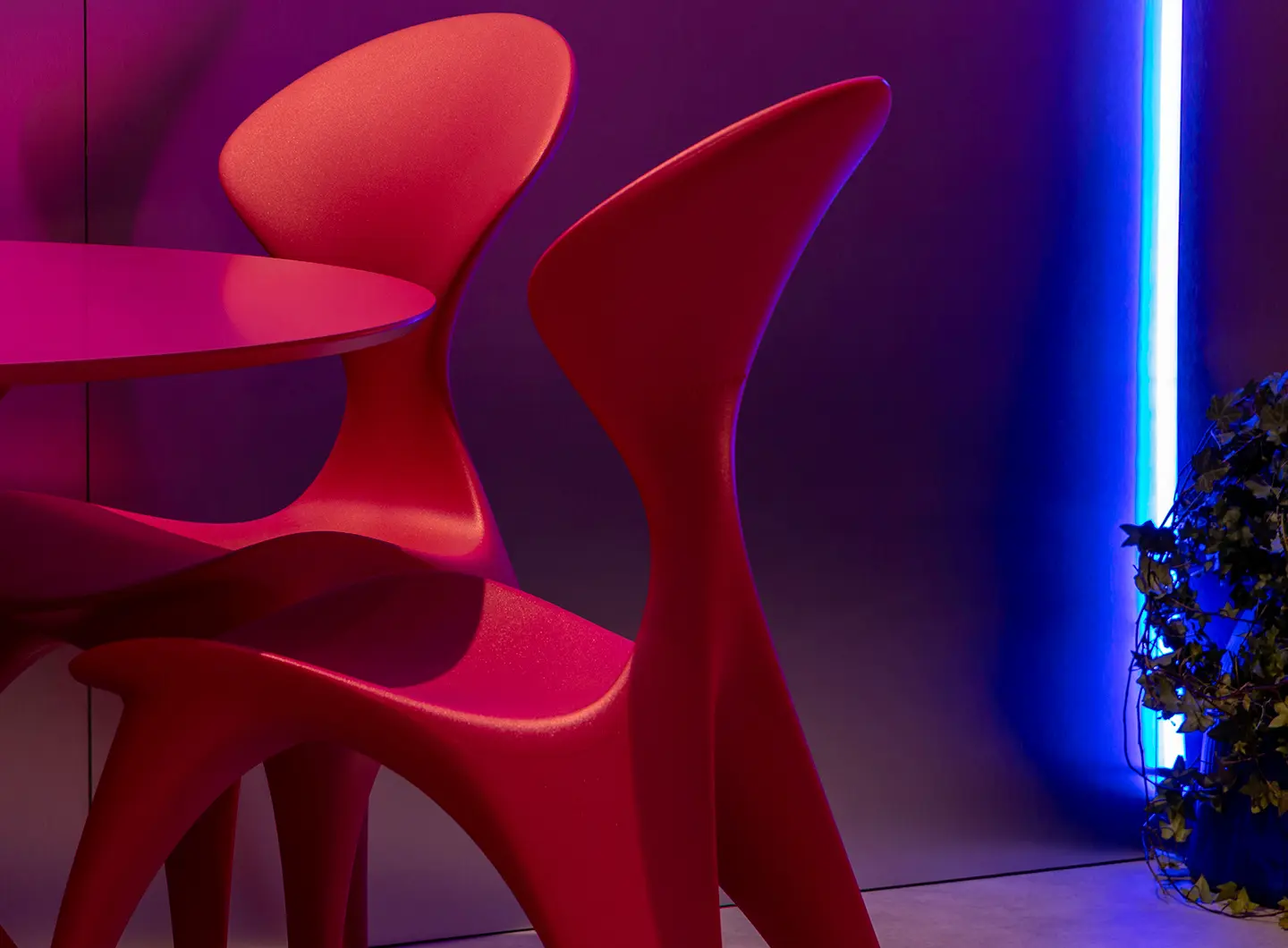 ANIMA, LOOPE, design Karim Rashid