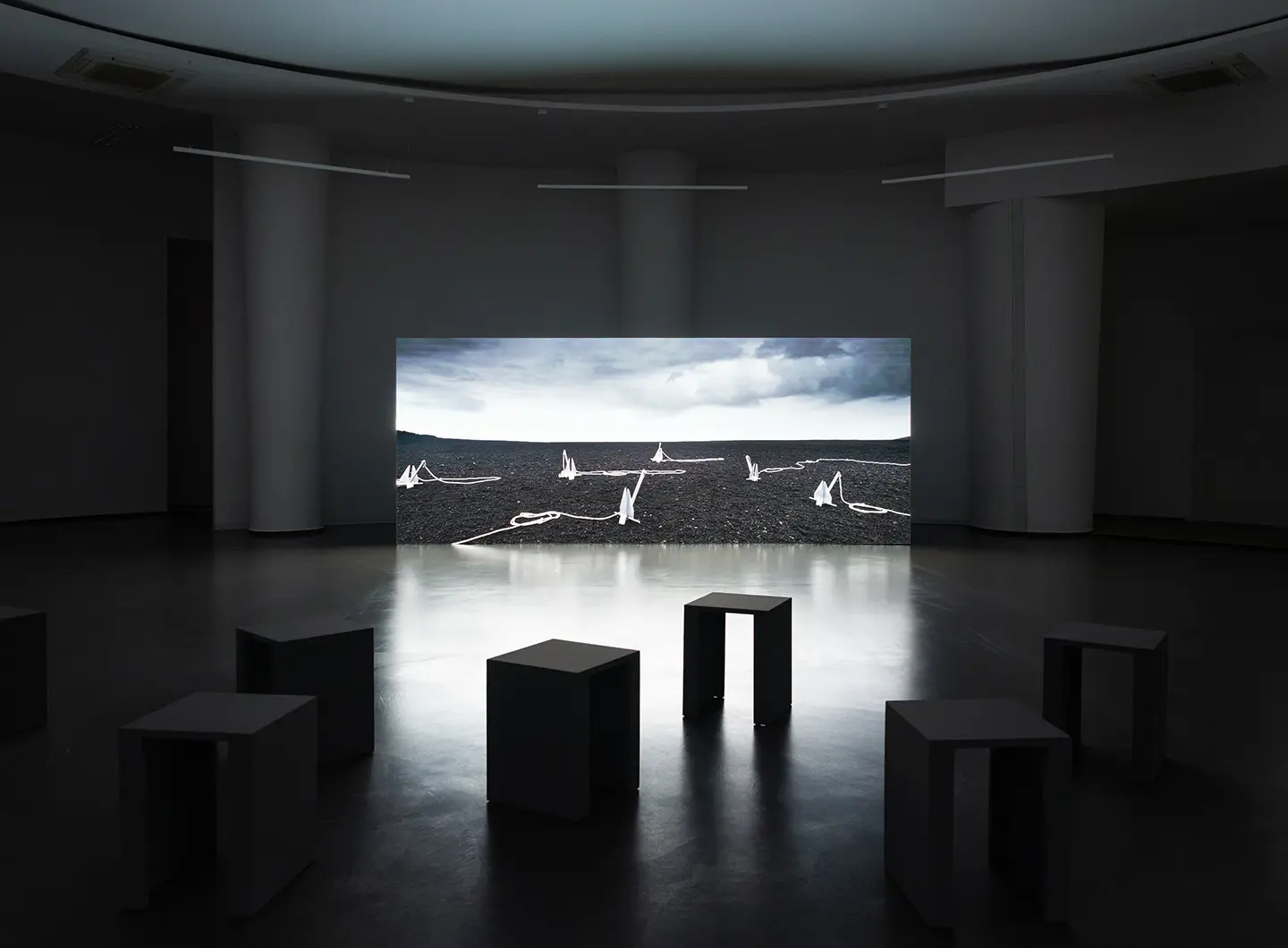 Elisa Giardina Papa, She Flickered In and Out of History, 2026 -installazione