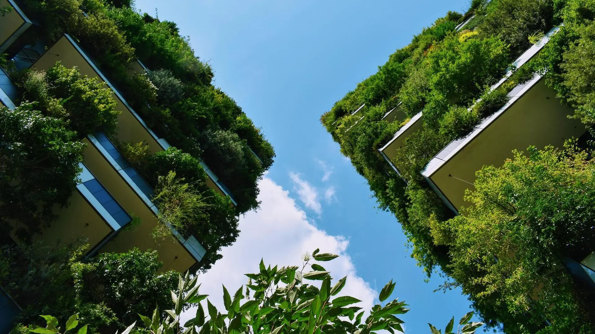 bosco verticale, gabor molnar